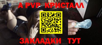 твердый Кингисепп