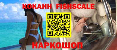 твердый Кингисепп