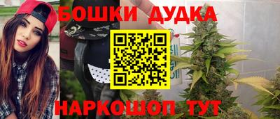 твердый Кингисепп