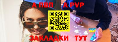 твердый Кингисепп