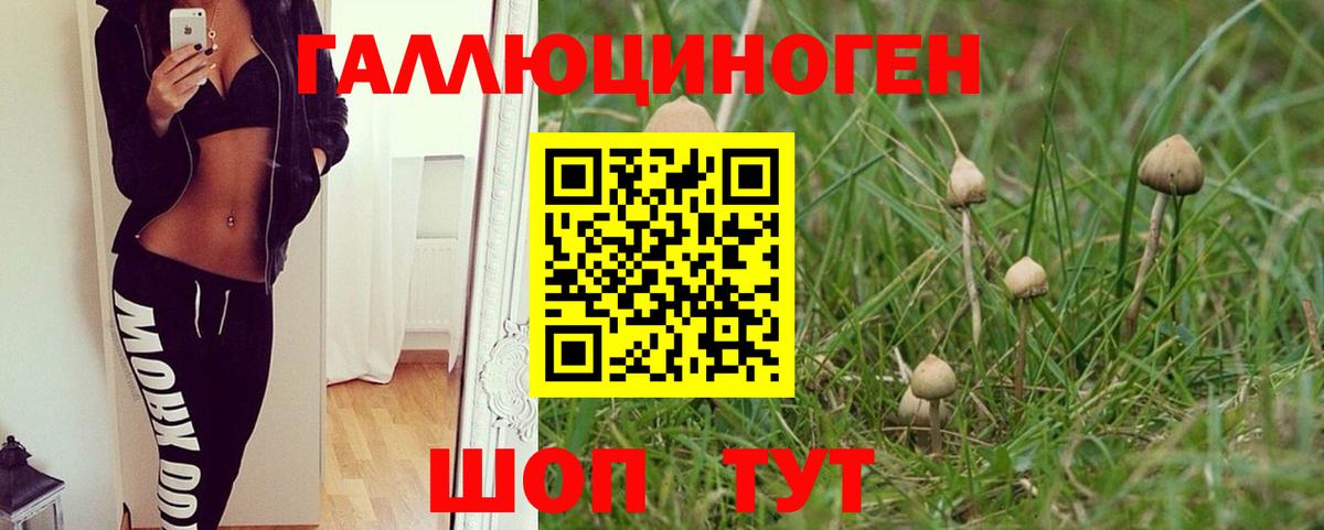 Псилоцибиновые грибы мухоморы  Вход с VPN  Псилоцибиновые грибы Magic Shrooms  Усинск 