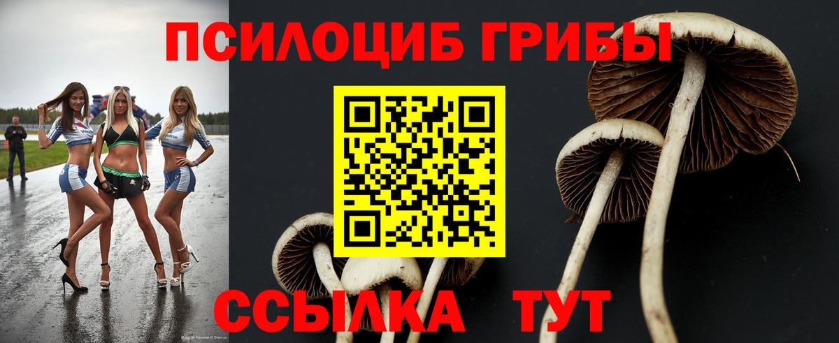 Псилоцибиновые грибы мухоморы Усинск